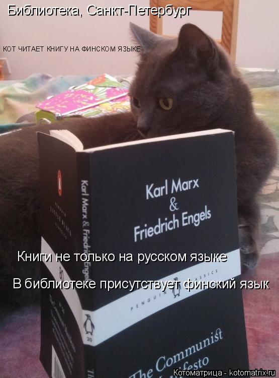 Библиотека, Санкт-Петербург Книги не только на русском языке В библиотеке присутствует финский язык К... Котоматрица: Библиотека, Санкт-Петербург Книги не только на русском языке В библиотеке присутствует финский язык КОТ ЧИТАЕТ КНИГУ НА ФИНСКОМ ЯЗЫКЕ