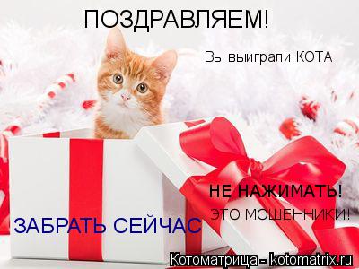 ПОЗДРАВЛЯЕМ! Вы выиграли КОТА ЗАБРАТЬ СЕЙЧАС НЕ НАЖИМАТЬ! ЭТО МОШЕННИКИ!... Котоматрица: ПОЗДРАВЛЯЕМ! Вы выиграли КОТА ЗАБРАТЬ СЕЙЧАС НЕ НАЖИМАТЬ! ЭТО МОШЕННИКИ!