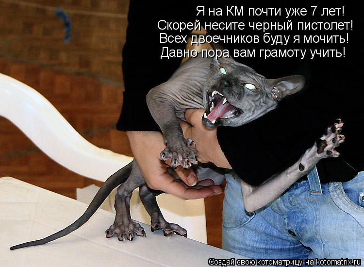 Всех двоечников буду я мочить! Я на КМ почти уже 7 лет! Скорей несите черный пистолет! Давно пора вам... Котоматрица: Всех двоечников буду я мочить! Я на КМ почти уже 7 лет! Скорей несите черный пистолет! Давно пора вам грамоту учить!