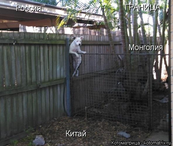 ГРАНИЦА Китай Монголия Россия... Котоматрица: ГРАНИЦА Китай Монголия Россия
