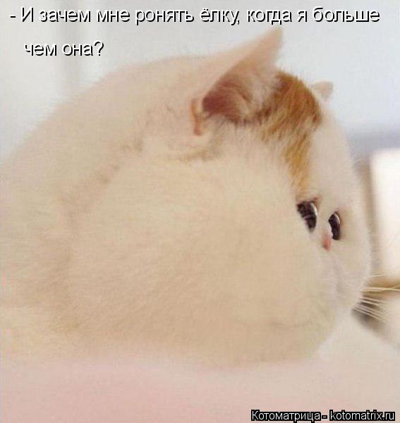 - И зачем мне ронять ёлку, когда я больше чем она?... Котоматрица: - И зачем мне ронять ёлку, когда я больше чем она?