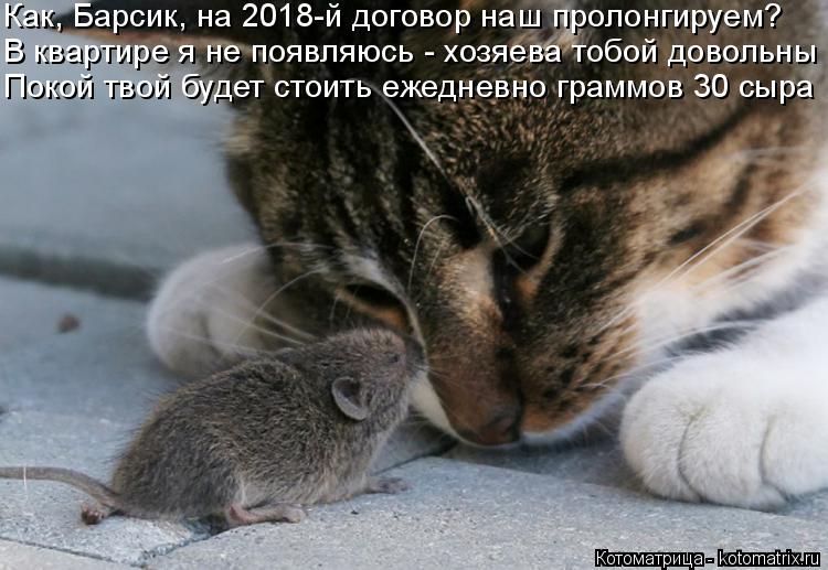 Как, Барсик, на 2018-й договор наш пролонгируем? В квартире я не появляюсь - хозяева тобой довольны П... Котоматрица: Как, Барсик, на 2018-й договор наш пролонгируем? В квартире я не появляюсь - хозяева тобой довольны Покой твой будет стоить ежедневно граммов 30