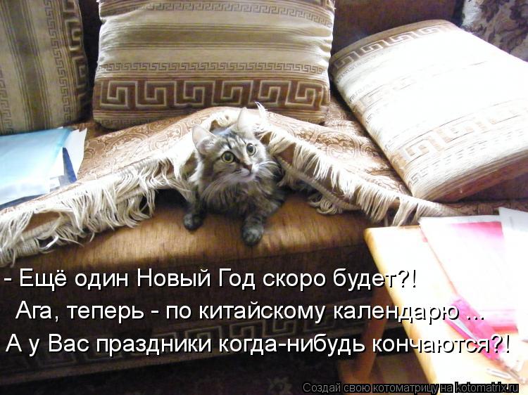 - Ещё один Новый Год скоро будет?! Ага, теперь - по китайскому календарю ... А у Вас праздники когда... Котоматрица: - Ещё один Новый Год скоро будет?! Ага, теперь - по китайскому календарю ... А у Вас праздники когда-нибудь кончаются?!