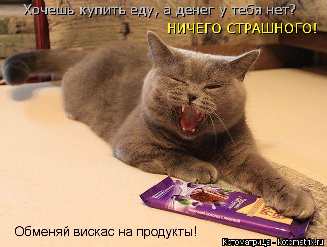Хочешь купить еду, а денег у тебя нет? НИЧЕГО СТРАШНОГО! Обменяй вискас на продукты!... Котоматрица: Хочешь купить еду, а денег у тебя нет? НИЧЕГО СТРАШНОГО! Обменяй вискас на продукты!
