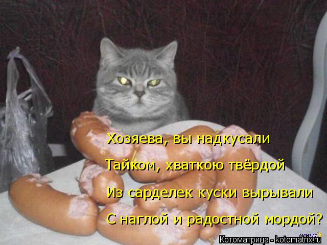 С наглой и радостной мордой? Из сарделек куски вырывали Хозяева, вы надкусали Тайком, хваткою твёрдой... Котоматрица: С наглой и радостной мордой? Из сарделек куски вырывали Хозяева, вы надкусали Тайком, хваткою твёрдой