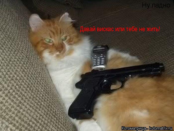 Давай вискас или тебе не жить! Ну ладно... Котоматрица: Давай вискас или тебе не жить! Ну ладно
