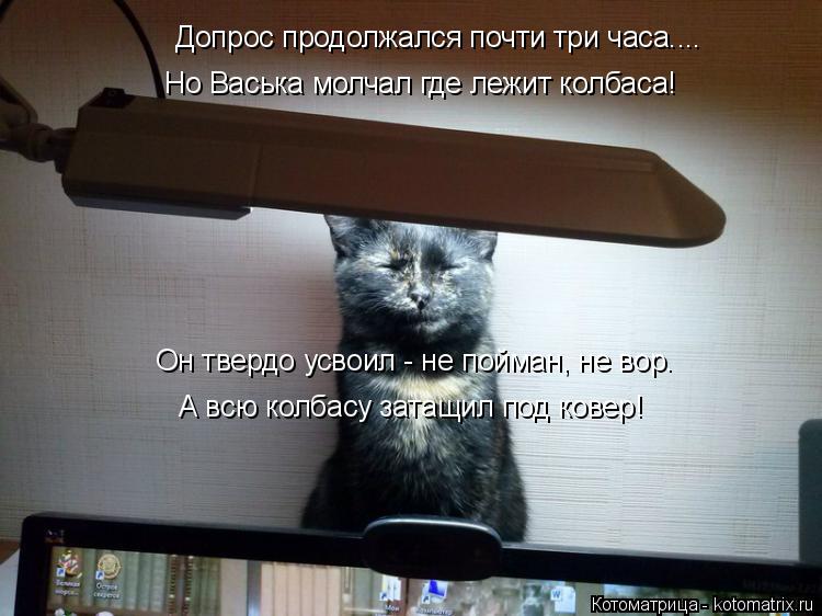 Допрос продолжался почти три часа.... Но Васька молчал где лежит колбаса! Он твердо усвоил - не пойма... Котоматрица: Допрос продолжался почти три часа.... Но Васька молчал где лежит колбаса! Он твердо усвоил - не пойман, не вор. А всю колбасу затащил под ковер!