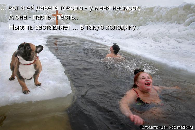 ... вот я ей давеча говорю - у меня насморк, А она - пасть...пасть.. Нырять заставляет ... в такую хо... Котоматрица: ... вот я ей давеча говорю - у меня насморк, А она - пасть...пасть.. Нырять заставляет ... в такую холодину...