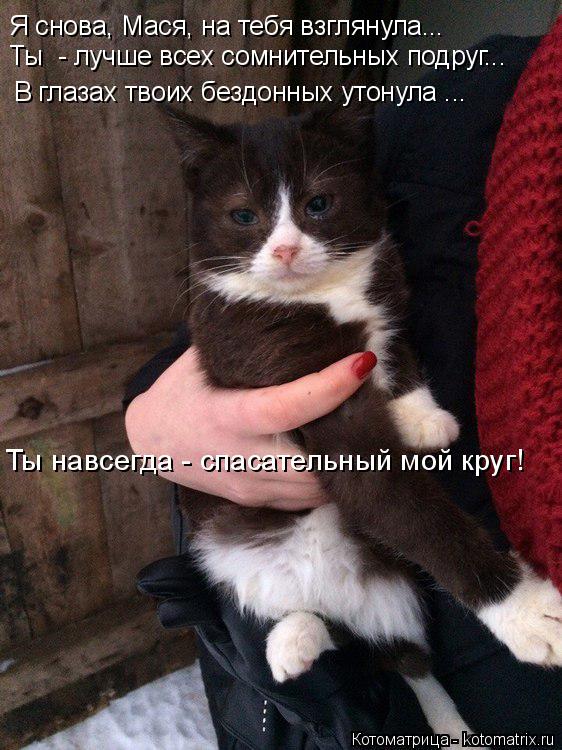 Я снова, Мася, на тебя взглянула... Ты - лучше всех сомнительных подруг... В глазах твоих бездонных ... Котоматрица: Я снова, Мася, на тебя взглянула... Ты - лучше всех сомнительных подруг... В глазах твоих бездонных утонула ... Ты навсегда - спасательный мой кр