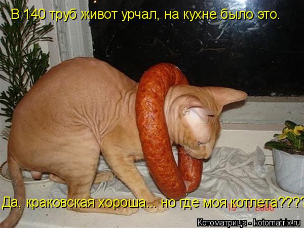 В 140 труб живот урчал, на кухне было это. Да, краковская хороша... но где моя котлета????????????... Котоматрица: В 140 труб живот урчал, на кухне было это. Да, краковская хороша... но где моя котлета????????????