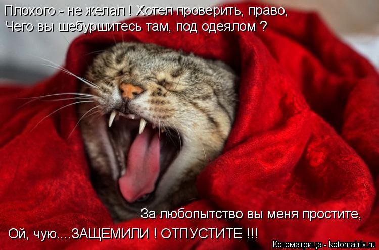 Плохого - не желал ! Хотел проверить, право, Чего вы шебуршитесь там, под одеялом ? За любопытство вы... Котоматрица: Плохого - не желал ! Хотел проверить, право, Чего вы шебуршитесь там, под одеялом ? За любопытство вы меня простите, Ой, чую....ЗАЩЕМИЛИ ! ОТПУСТ?