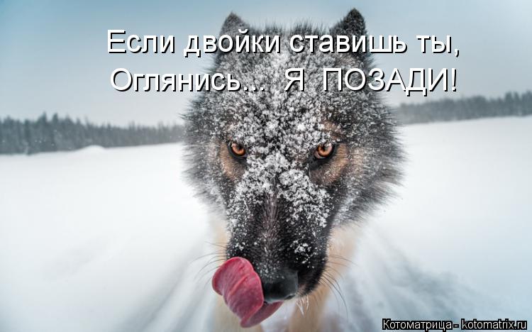 Если двойки ставишь ты, Оглянись... Я ПОЗАДИ!... Котоматрица: Если двойки ставишь ты, Оглянись... Я ПОЗАДИ!