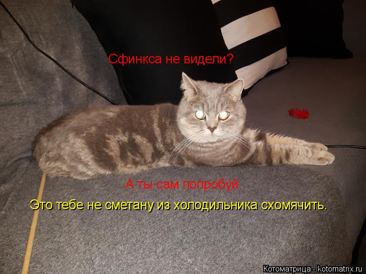 Стихи поздравления в стихах с 40 летием 162