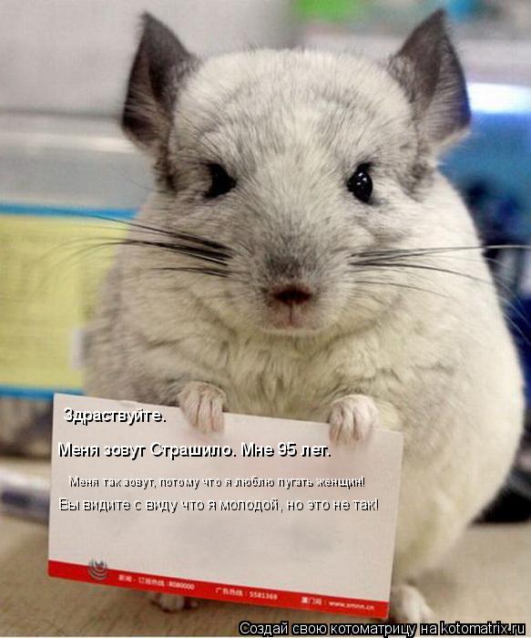 Котоматрица: Здраствуйте. Меня зовут Страшило. Мне 95 лет. Меня так зовут, потому что я люблю пугать женщин! Вы видите с виду что я молодой, но это не так!