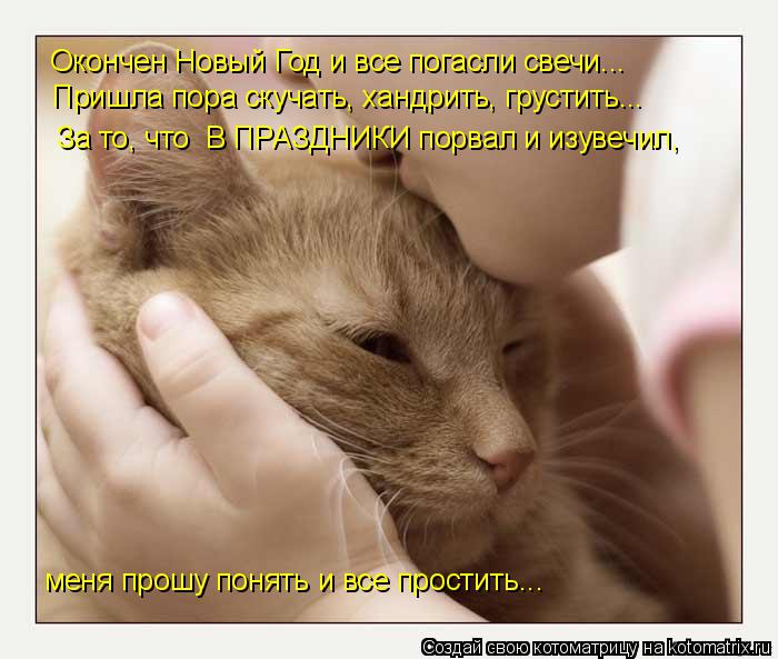 Котоматрица: Окончен Новый Год и все погасли свечи... Пришла пора скучать, хандрить, грустить... За то, что  В ПРАЗДНИКИ порвал и изувечил,  меня прошу понят?