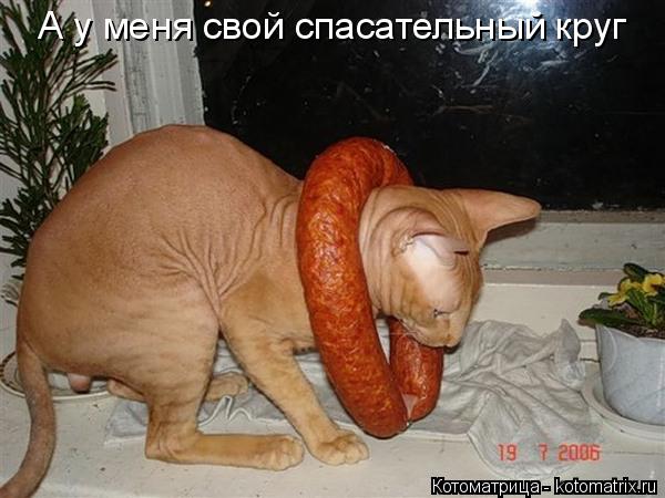 А у меня свой спасательный круг... Котоматрица: А у меня свой спасательный круг