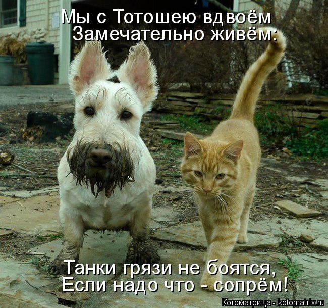Мы с Тотошею вдвоём Замечательно живём: Танки грязи не боятся, Если надо что - сопрём!... Котоматрица: Мы с Тотошею вдвоём Замечательно живём: Танки грязи не боятся, Если надо что - сопрём!