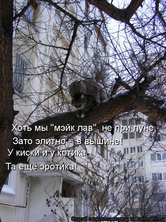 Котоматрица: Хоть мы "мэйк лав"  не при луне, Хоть мы "мэйк лав"  не при луне, Зато элитно -  в вышине! У киски и у котика Та ещё эротика!