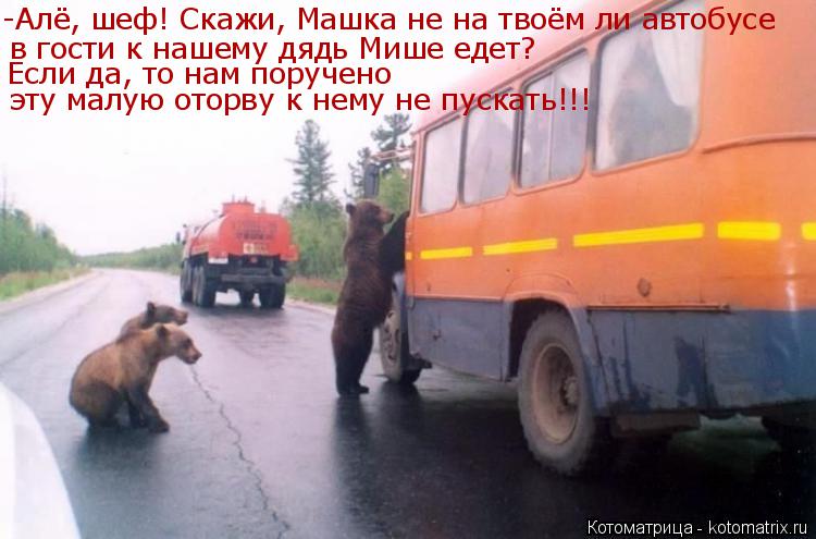 Котоматрица: -Алё, шеф! Скажи, Машка не на твоём ли автобусе в гости к нашему дядь Мише едет? Если да, то нам поручено  эту малую оторву к нему не пускать!!!