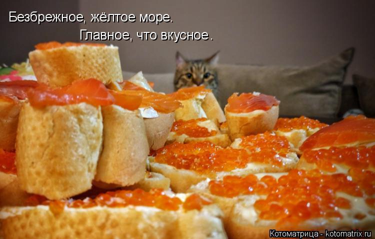 Котоматрица: Безбрежное, жёлтое море.  Главное, что вкусное .