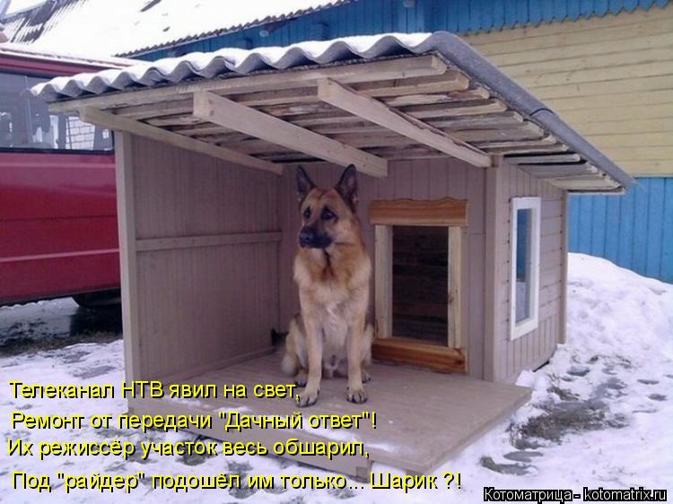 Их режиссёр участок весь обшарил, Телеканал НТВ явил на свет, Под "райдер" подошёл им только... Шарик... Котоматрица: Их режиссёр участок весь обшарил, Телеканал НТВ явил на свет, Под "райдер" подошёл им только... Шарик ?! Ремонт от передачи "Дачный ответ"!