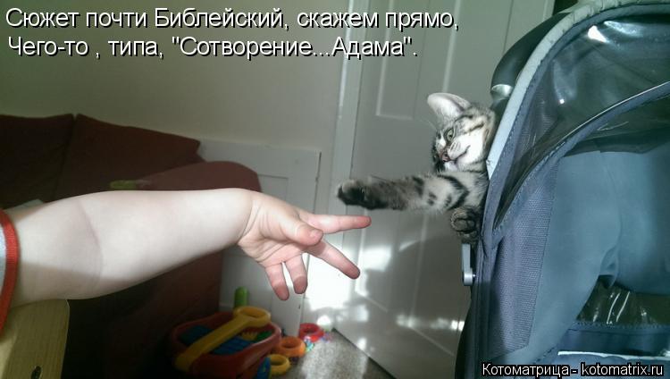 Котоматрица: Сюжет почти Библейский, скажем прямо, Чего-то , типа, "Сотворение...Адама".