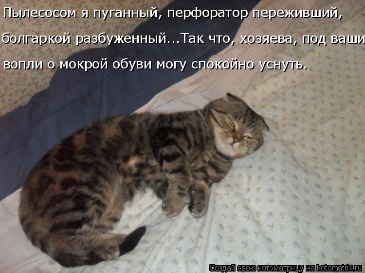 Котоматрица: Пылесосом я пуганный, перфоратор переживший,  болгаркой разбуженный...Так что, хозяева, под ваши  вопли о мокрой обуви могу спокойно уснуть.