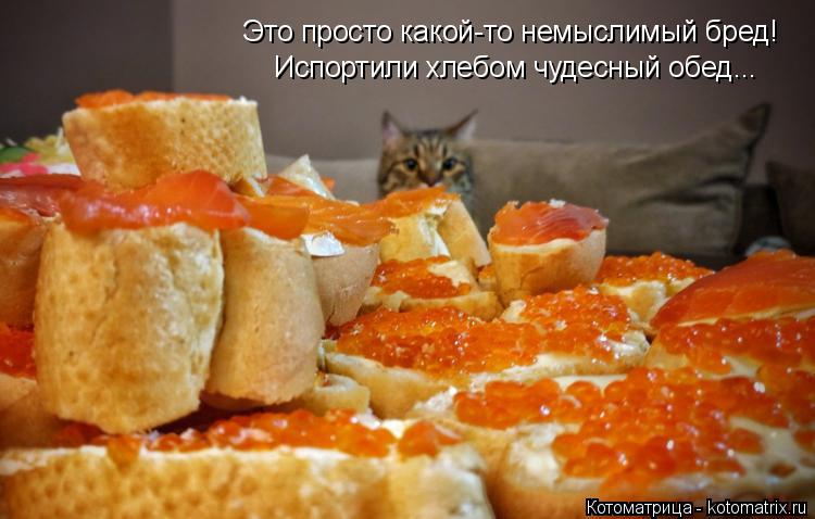 Котоматрица: Это просто какой-то немыслимый бред! Испортили хлебом чудесный обед...