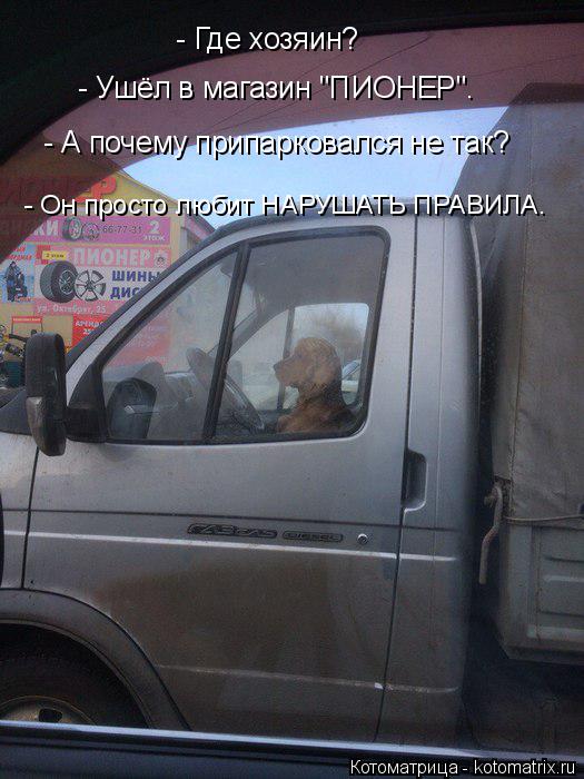 Котоматрица: - Где хозяин? - Ушёл в магазин "ПИОНЕР". - А почему припарковался не так? - Он просто любит НАРУШАТЬ ПРАВИЛА.