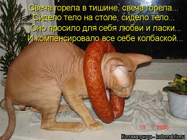 Котоматрица: Свеча горела в тишине, свеча горела... Сидело тело на столе, сидело тело... Оно просило для себя любви и ласки... И компенсировало все себе колб?