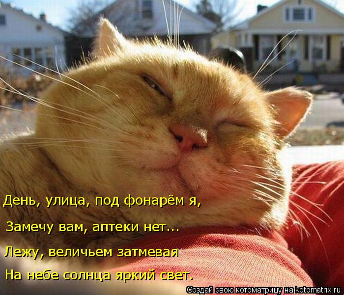 Котоматрица: Лежу, величьем затмевая Замечу вам, аптеки нет... День, улица, под фонарём я, На небе солнца яркий свет.
