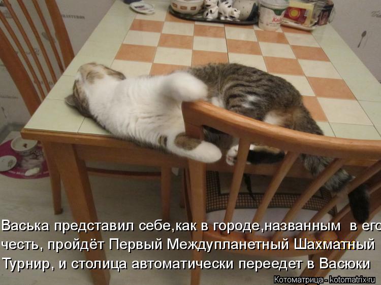 Котоматрица: Васька представил себе,как в городе,названным  в его   честь, пройдёт Первый Междупланетный Шахматный Турнир, и столица автоматически перее