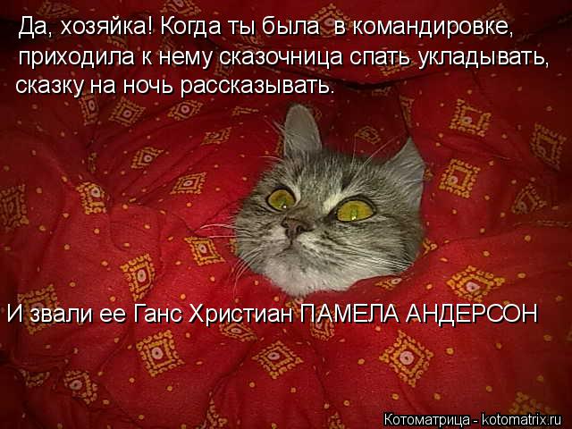Котоматрица: Да, хозяйка! Когда ты была  в командировке,  приходила к нему сказочница спать укладывать,  сказку на ночь рассказывать. И звали ее Ганс Христ