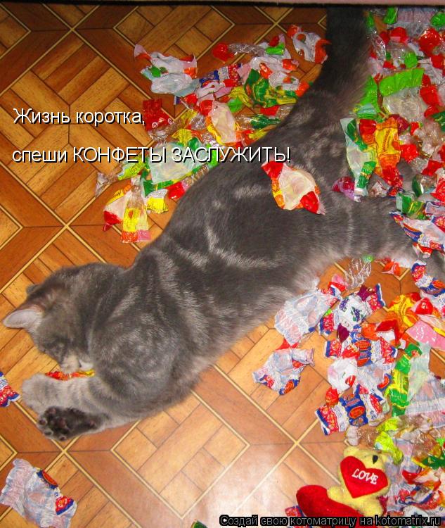 Котоматрица: Жизнь коротка, спеши КОНФЕТЫ ЗАСЛУЖИТЬ!