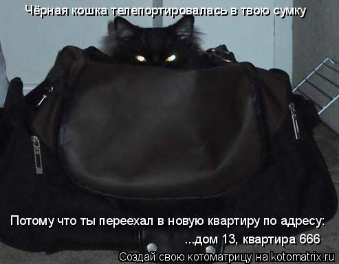 Котоматрица: Чёрная кошка телепортировалась в твою сумку Потому что ты переехал в новую квартиру по адресу: ...дом 13, квартира 666