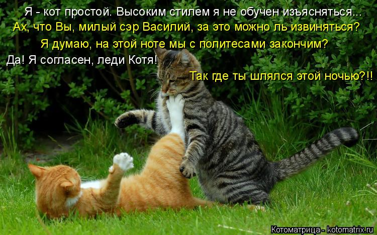 Котоматрица: Я - кот простой. Высоким стилем я не обучен изъясняться... Ах, что Вы, милый сэр Василий, за это можно ль извиняться? Я думаю, на этой ноте мы с п?