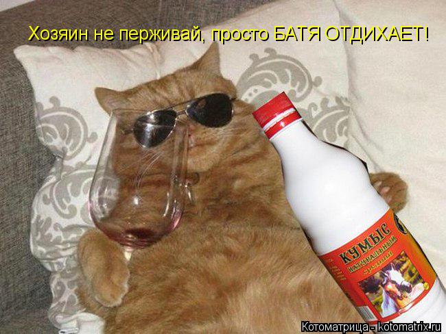 Котоматрица: Хозяин не перживай, просто БАТЯ ОТДИХАЕТ!