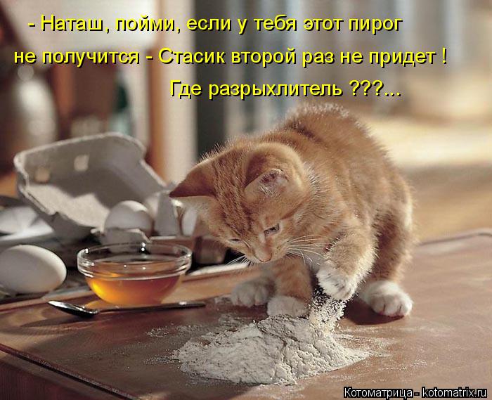 - Наташ, пойми, если у тебя этот пирог не получится - Стасик второй раз не придет ! Где разрыхлитель ... Котоматрица: - Наташ, пойми, если у тебя этот пирог не получится - Стасик второй раз не придет ! Где разрыхлитель ???...