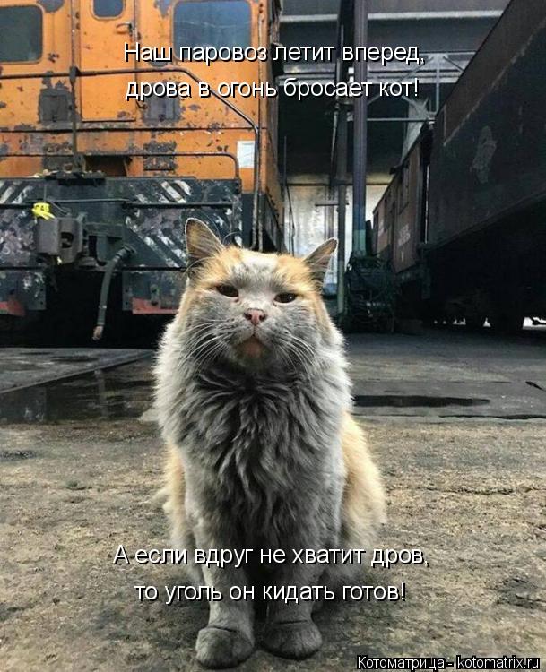 Котоматрица: Наш паровоз летит вперед, А если вдруг не хватит дров, то уголь он кидать готов! дрова в огонь бросает кот!