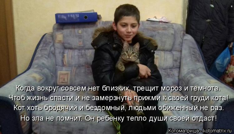 Котоматрица: Чтоб жизнь спасти и не замерзнуть прижми к своей груди кота! Когда вокруг совсем нет близких, трещит мороз и темнота. Кот хоть бродячий и без