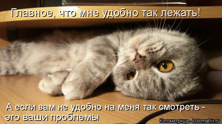 Котоматрица: Главное, что мне удобно так лежать! А если вам не удобно на меня так смотреть - это ваши проблемы