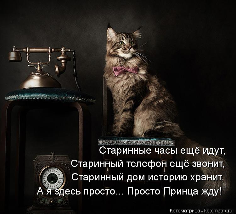 Котоматрица: Старинные часы ещё идут, Старинный телефон ещё звонит, Старинный дом историю хранит, А я здесь просто... Просто Принца жду!