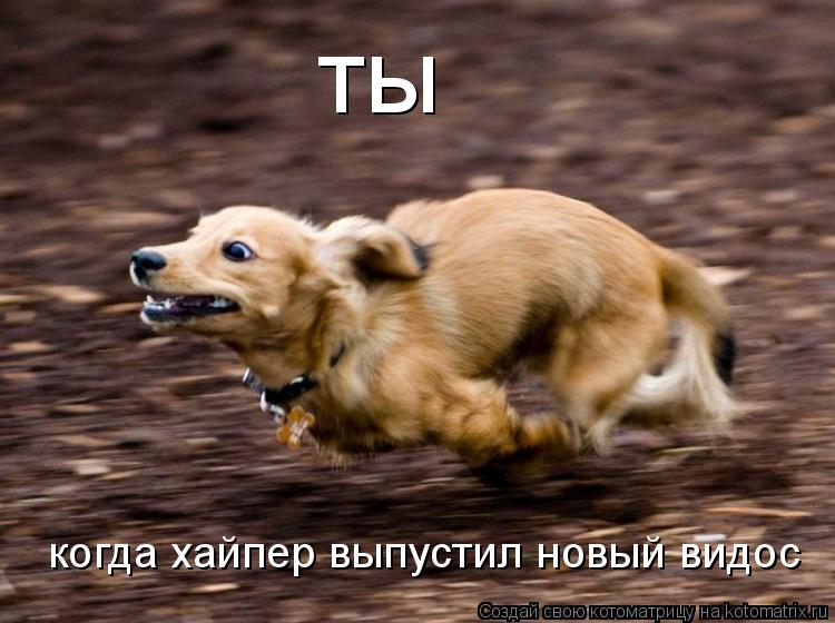 Котоматрица: ты когда хайпер выпустил новый видос