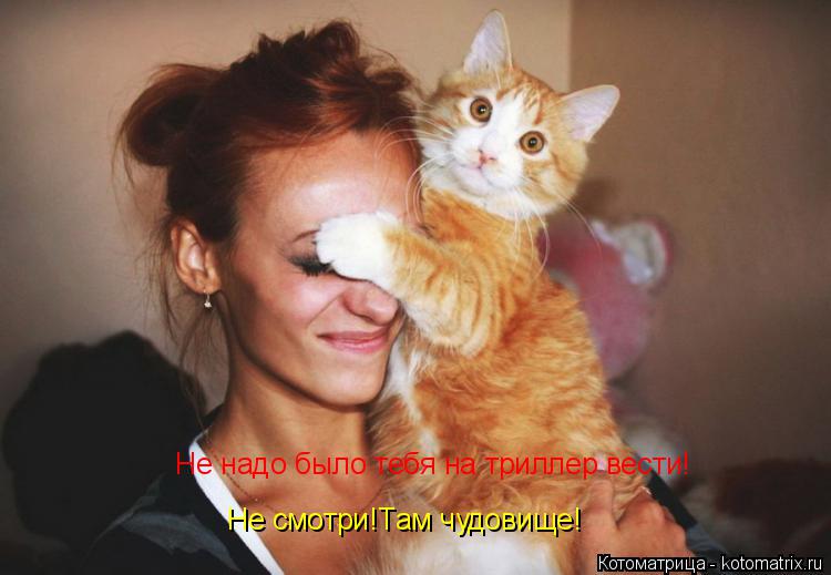 Котоматрица: Не надо было тебя на триллер вести! Не смотри!Там чудовище!