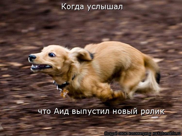 Котоматрица: Когда услышал что Аид выпустил новый ролик