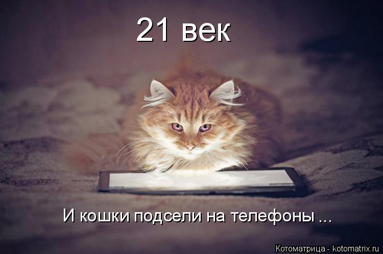 Котоматрица: 21 век И кошки подсели на телефоны ...