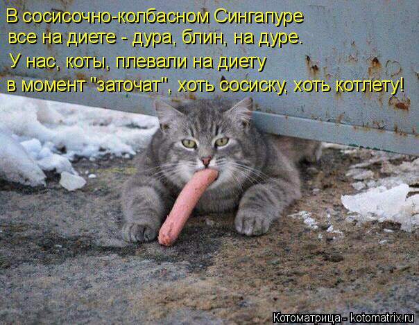 В сосисочно-колбасном Сингапуре все на диете - дура, блин, на дуре. У нас, коты, плевали на диету... Котоматрица: В сосисочно-колбасном Сингапуре все на диете - дура, блин, на дуре. У нас, коты, плевали на диету в момент "заточат", хоть сосиску, хоть котле?