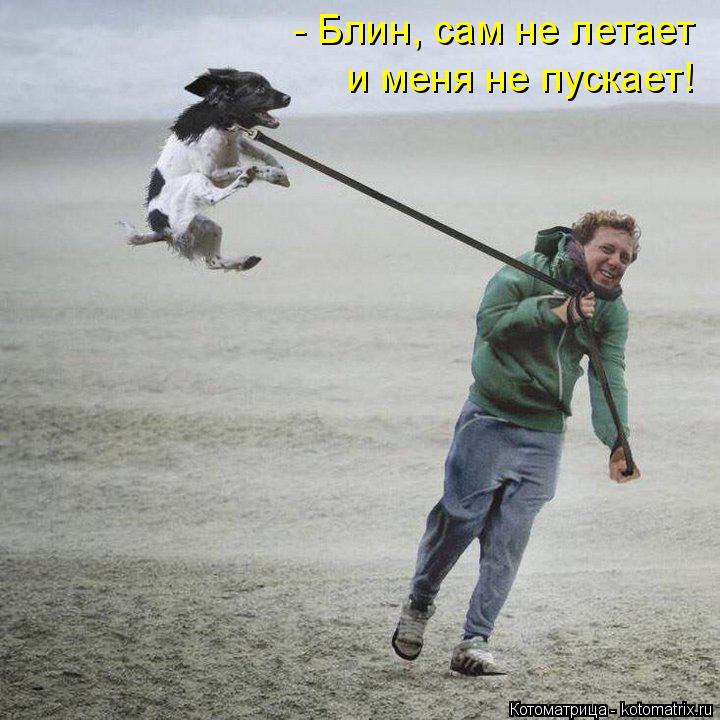Котоматрица: - Блин, сам не летает  и меня не пускает!
