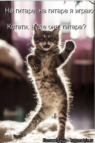 Котоматрица: На гитаре, на гитаре я играю... Кстати, а где она, гитара?