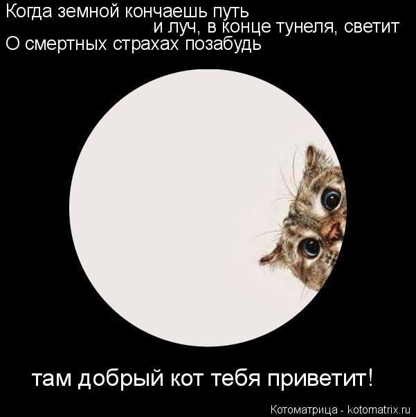 Когда земной кончаешь путь и луч, в конце тунеля, светит О смертных страхах позабудь там добрый кот ... Котоматрица: Когда земной кончаешь путь и луч, в конце тунеля, светит О смертных страхах позабудь там добрый кот тебя приветит!